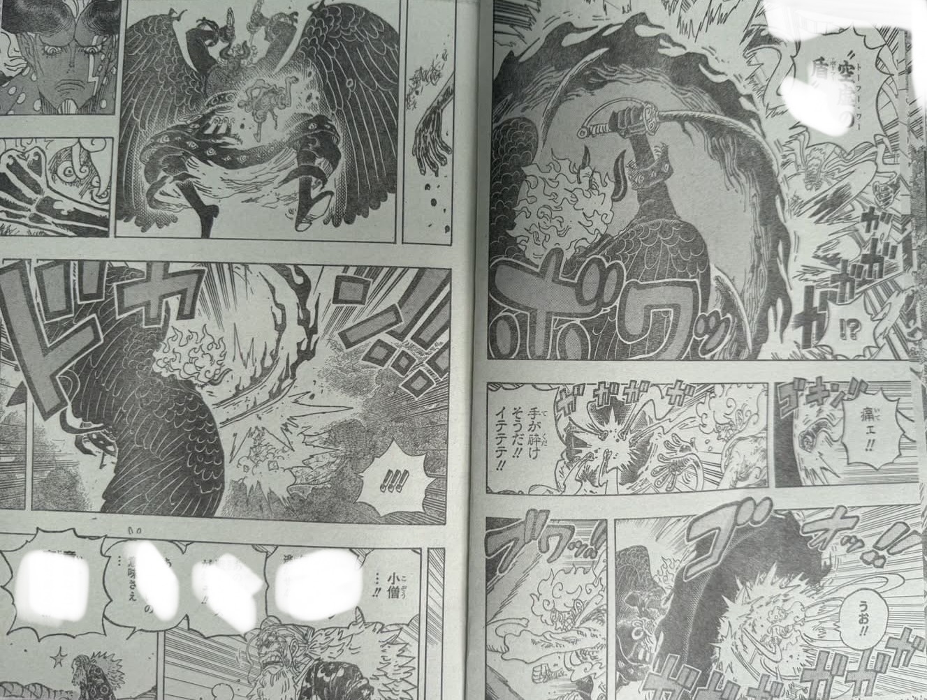       One   Piece Jamais on te pardonnera Page 4